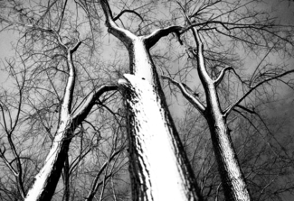 ihtiyar-ali_isolated