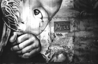 backdoor