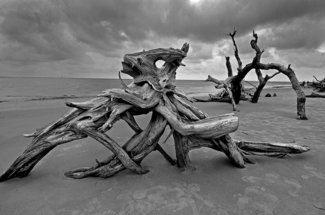 Sculptures in the sand