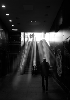 The Escalator