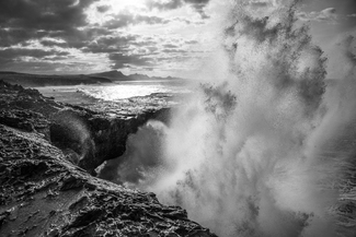 The Wild Coast