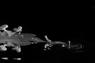 Milk Sculpture 1