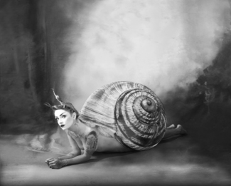 Metamorphosis