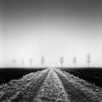 Fields XIII