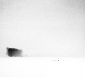 Haiku2338.Ten