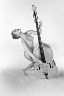 The Bassist