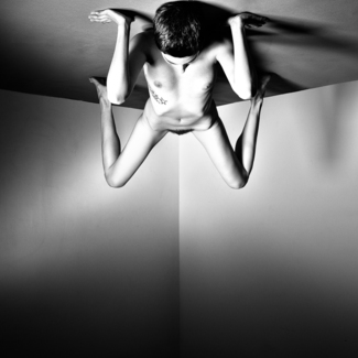 Creepy Crawly