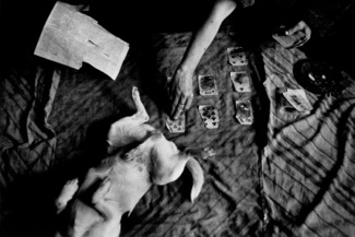 Cards