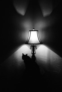 Paranormal 