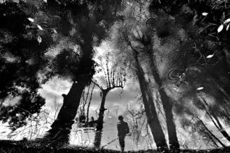 Water Impression