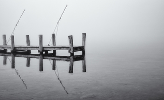 Afternoon Fog