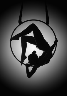 The Performer
