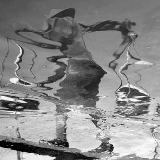 Water Puppet