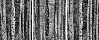 Trees in Exchange
