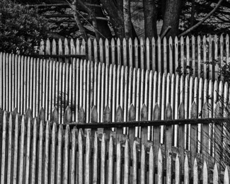Fence Study