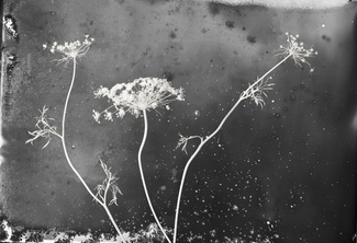 Untitled (3)