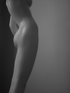 Pucci Torso