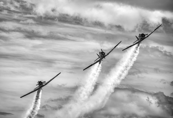 Harvards in Formation