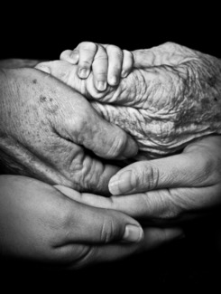 5 Generations