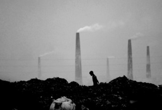 Life in a Waste Land