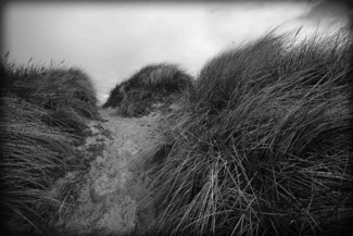 gold dust island