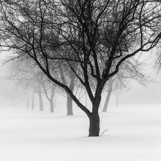 December Fog