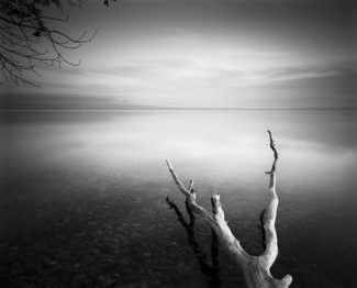 Serenity 2