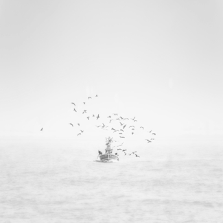 Back to port