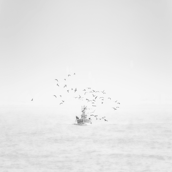 Back to port