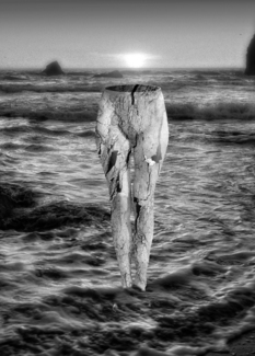 By the Sea