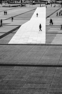 White Carpet