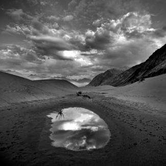 Reflection