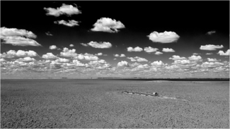 Barren Ground