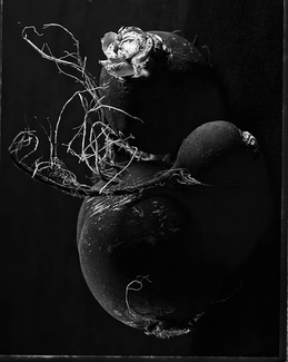 Black Turnips