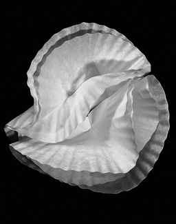 Paper Filters I