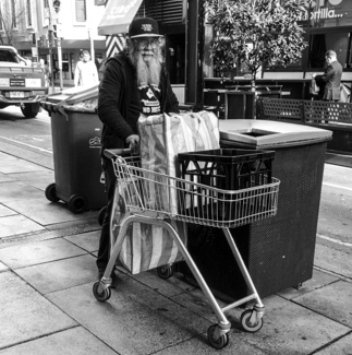 The Can Collector