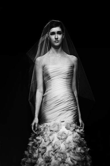 Mode Shape - Plate 7