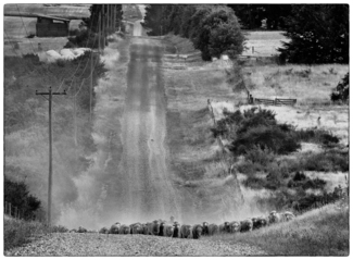 Rural Road