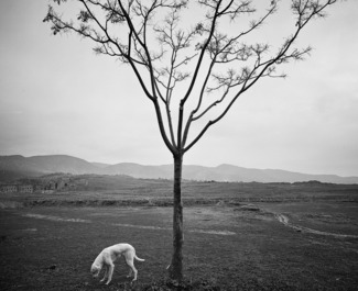 lonely