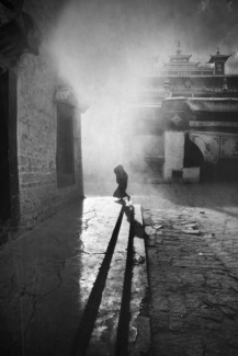 tibetan mist