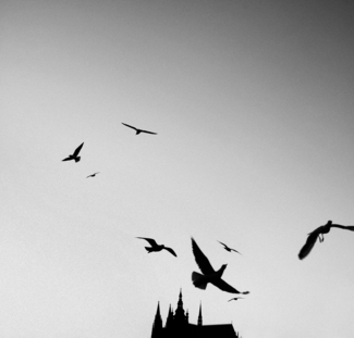 prague castle