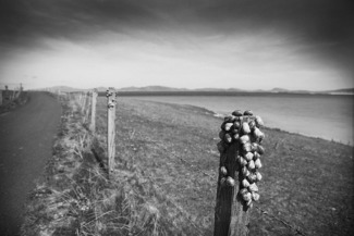 Journey's End