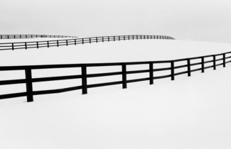 Snow Fence