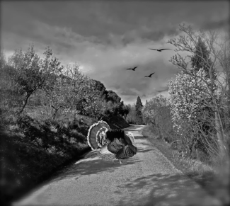 Offbeat