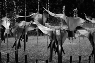 Stainless Steel Flock
