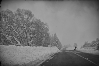 Winter Walk