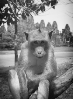 Poser Angkor Wat