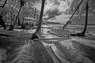 hammock