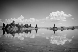 Ripple Effect