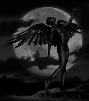 Wild Moon
